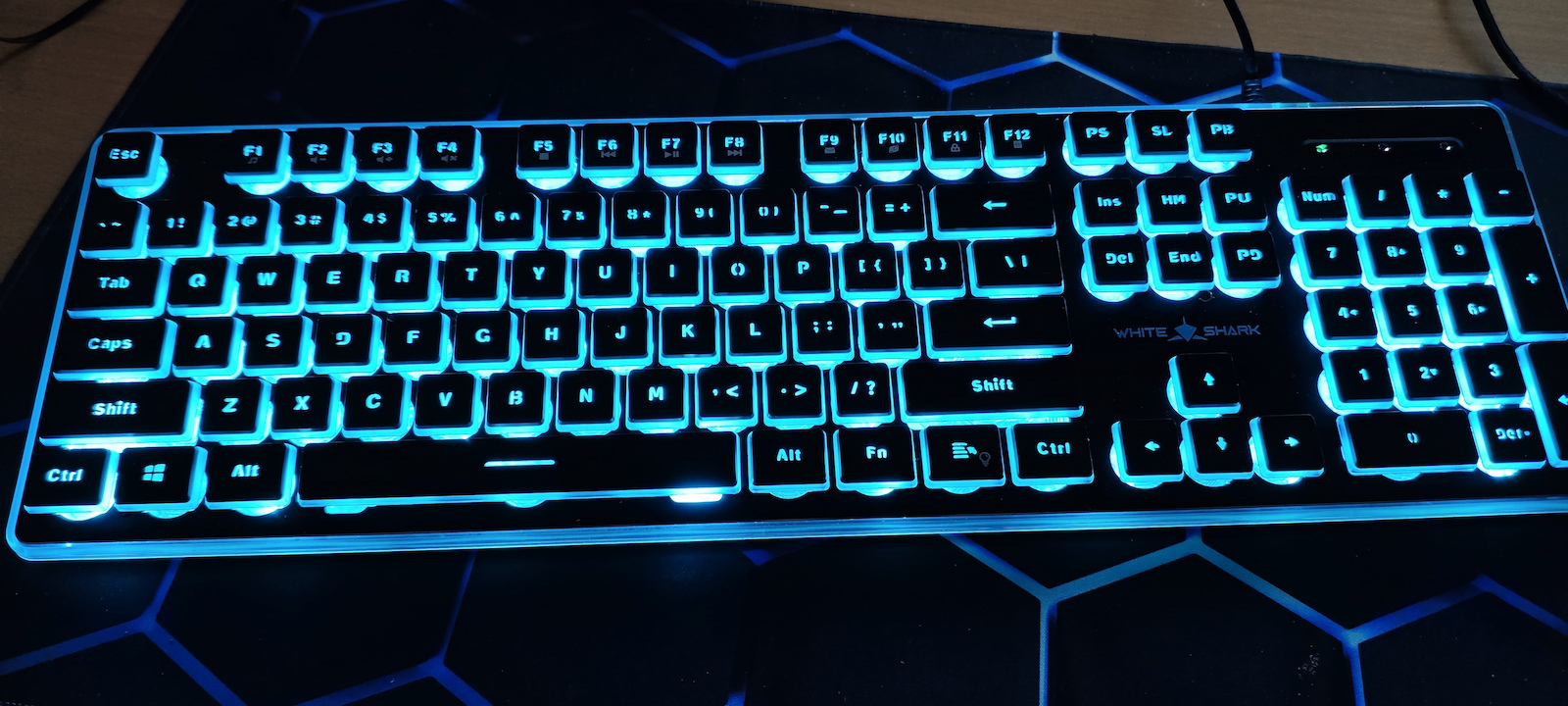 White Shark Tachi Gaming Keyboard with Illuminated keys (English US)