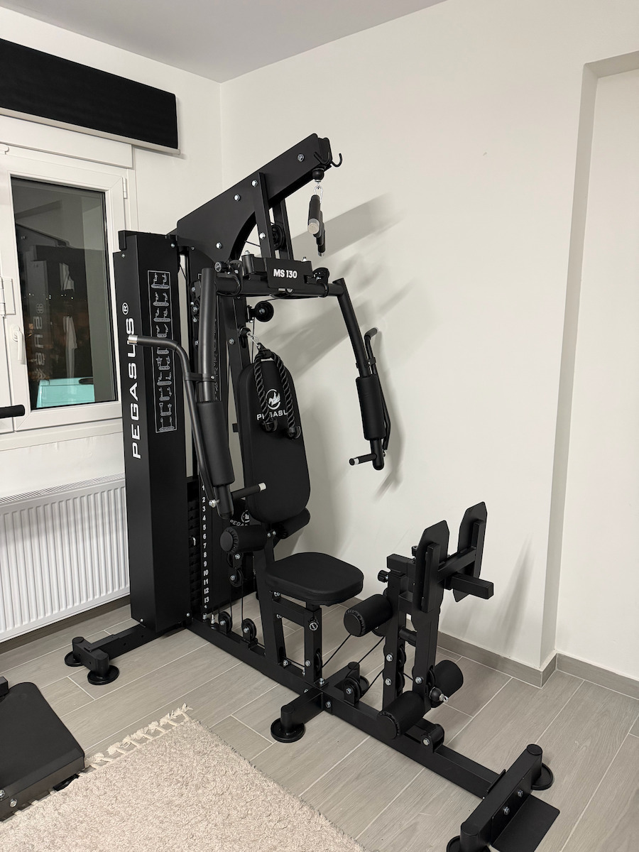 Pegasus Biceps/Triceps Machine with Weights 73kg