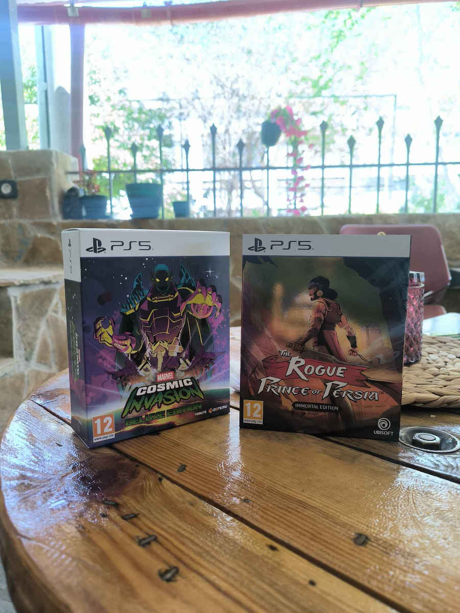 The Rogue Prince Of Persia PS5 Game