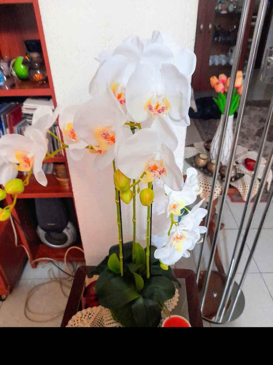 Topfpflanze Orchidee Weiße Blüten Real Touch Kastanie Höhe 82cm 2/8 Stück