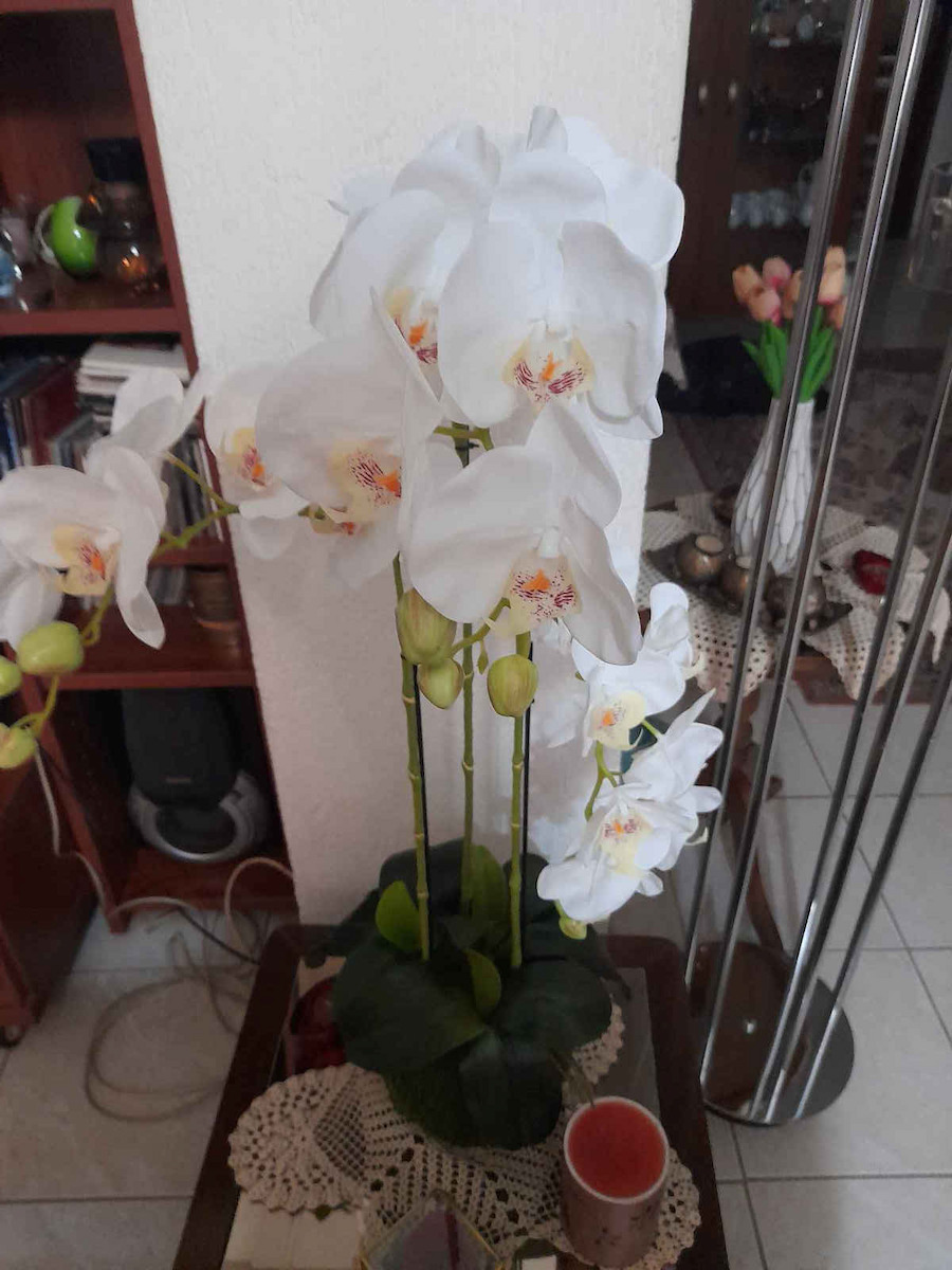 Topfpflanze Orchidee Weiße Blüten Real Touch Kastanie Höhe 82cm 2/8 Stück