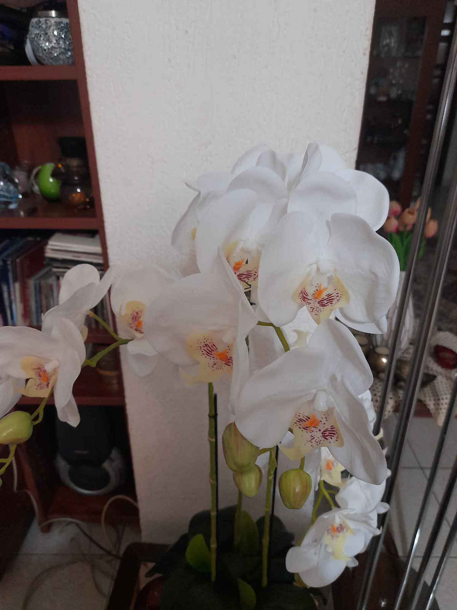 Topfpflanze Orchidee Weiße Blüten Real Touch Kastanie Höhe 82cm 2/8 Stück