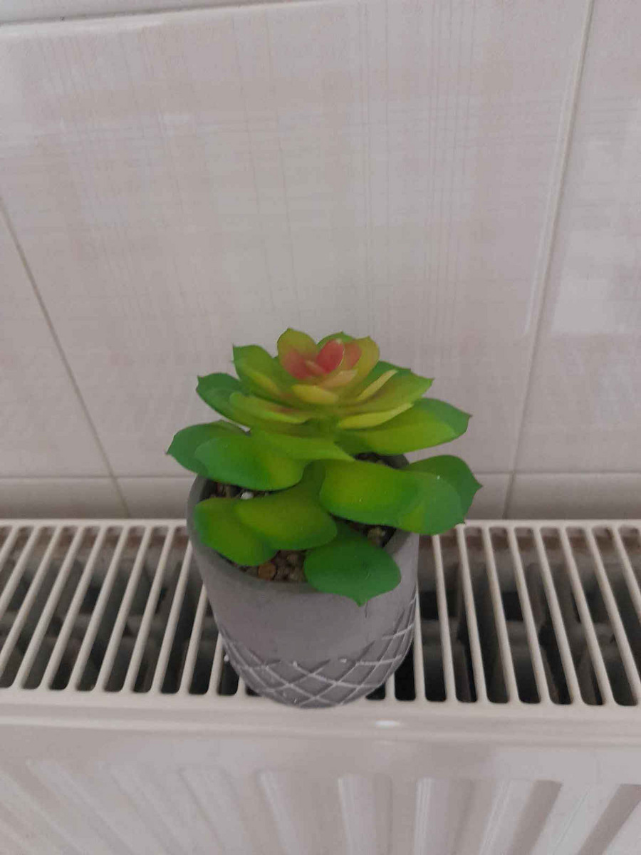 Globostar? Artificial Garden Succulent Sedeveria 21095 Διακοσμητικό Φυτό Παχύφυτο Σεντεβέρια Υ17cm