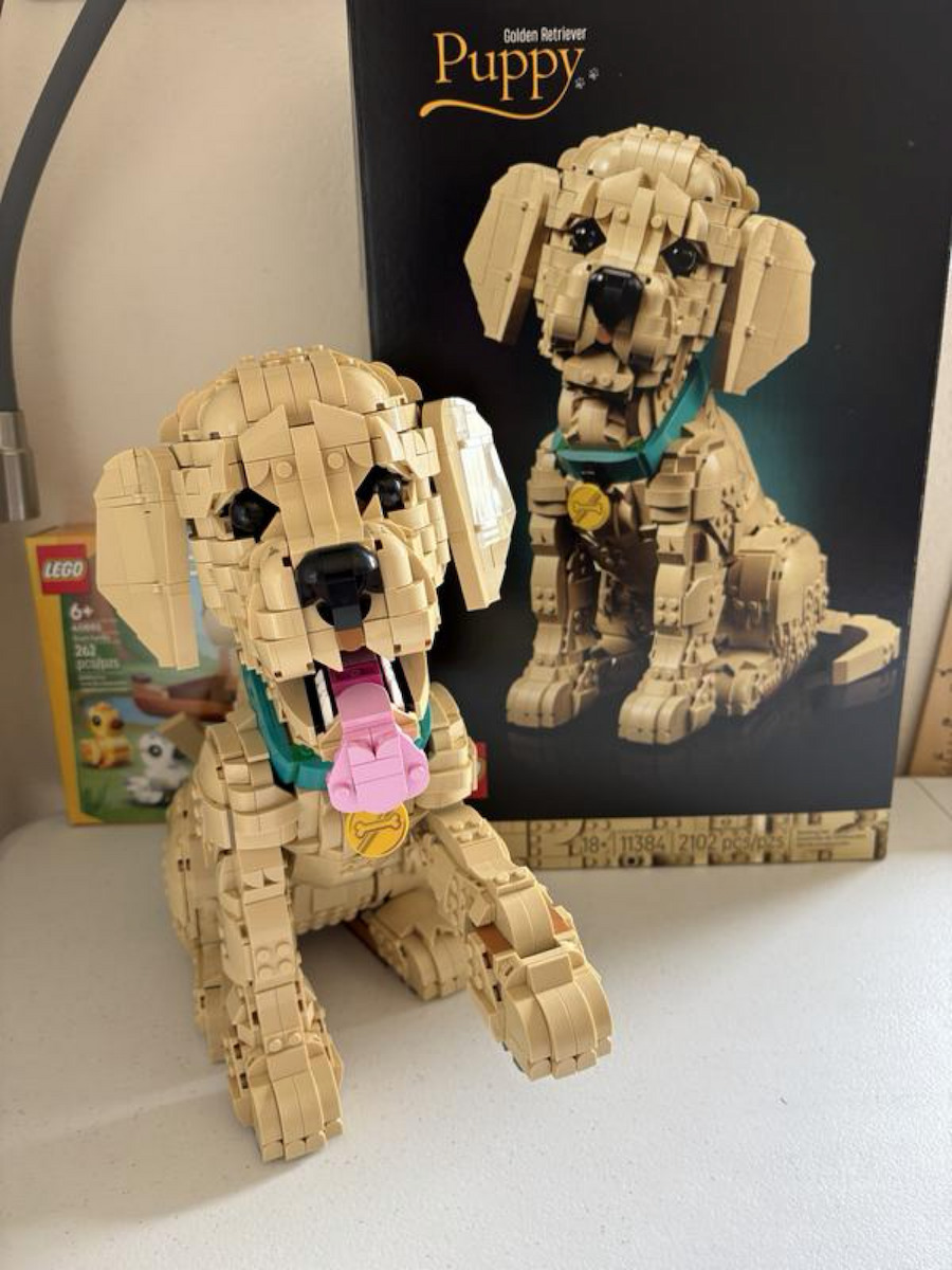 LEGO Icons Golden Retriever Puppy За 18+ Години 2102 Бройки