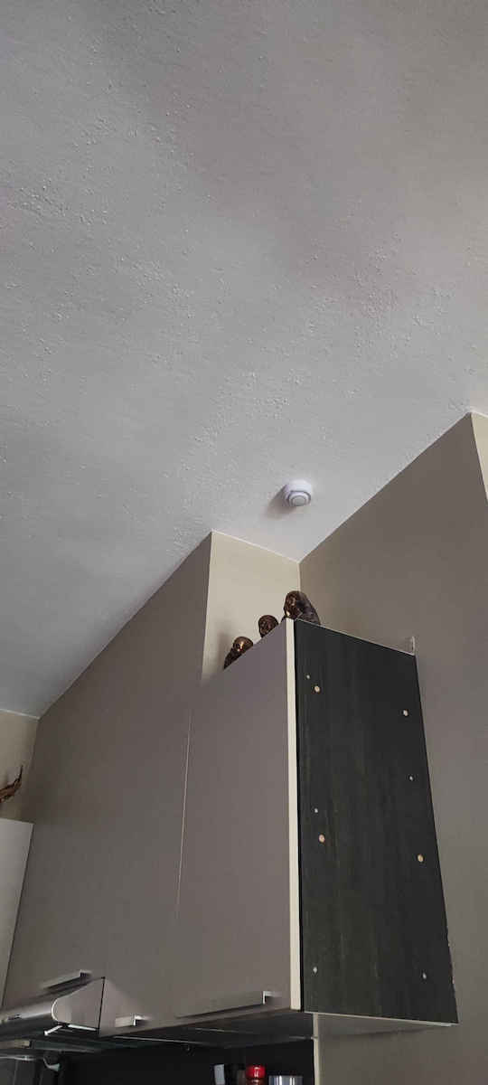PST-YG400A Ανιχνευτής Καπνού Wi-Fi