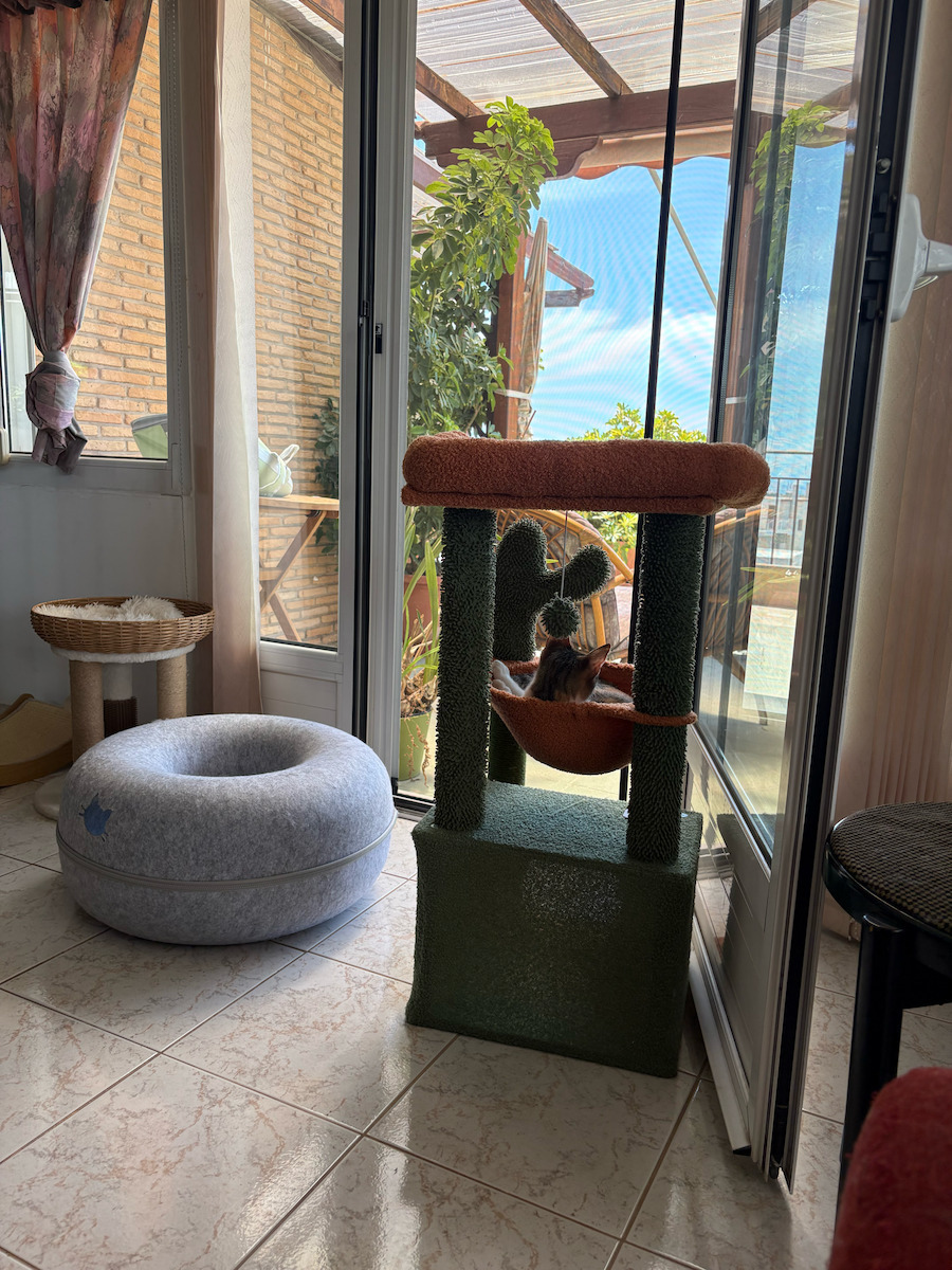 Animal Cactus Scratching Post Cat Trees Green 40x40x84cm