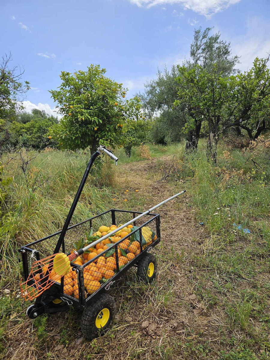 Anhänger Gartenkarre Metallisch Vierrädrig mit Maximalem Ladegewicht 300kg