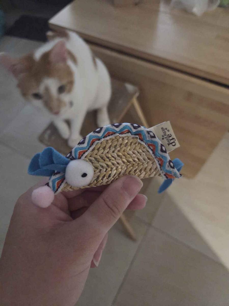 All For Paws Παιχνίδι Γάτας Ποντίκι Taco Mouse 18x5x1.5 cm