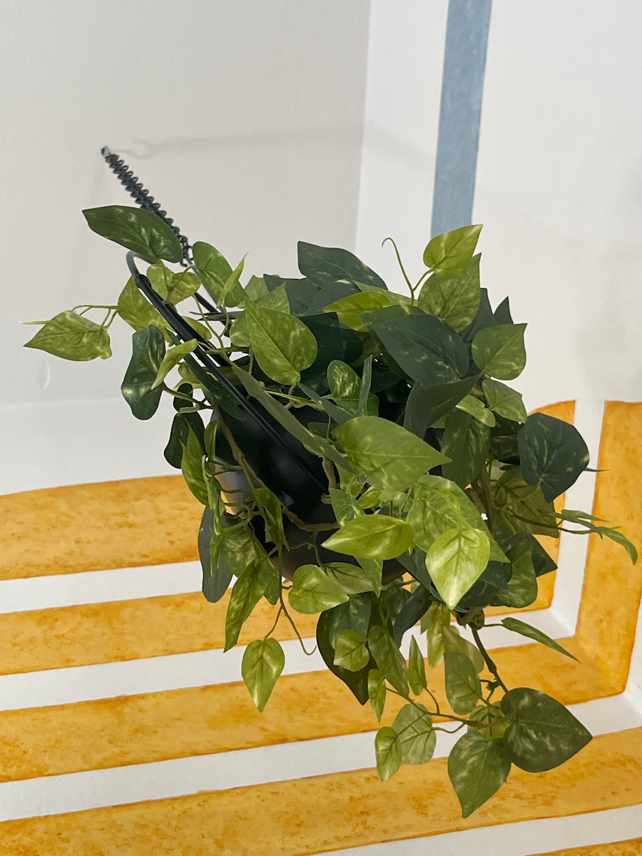 Decorative Garland Devil's Ivy 165cm Iliadis