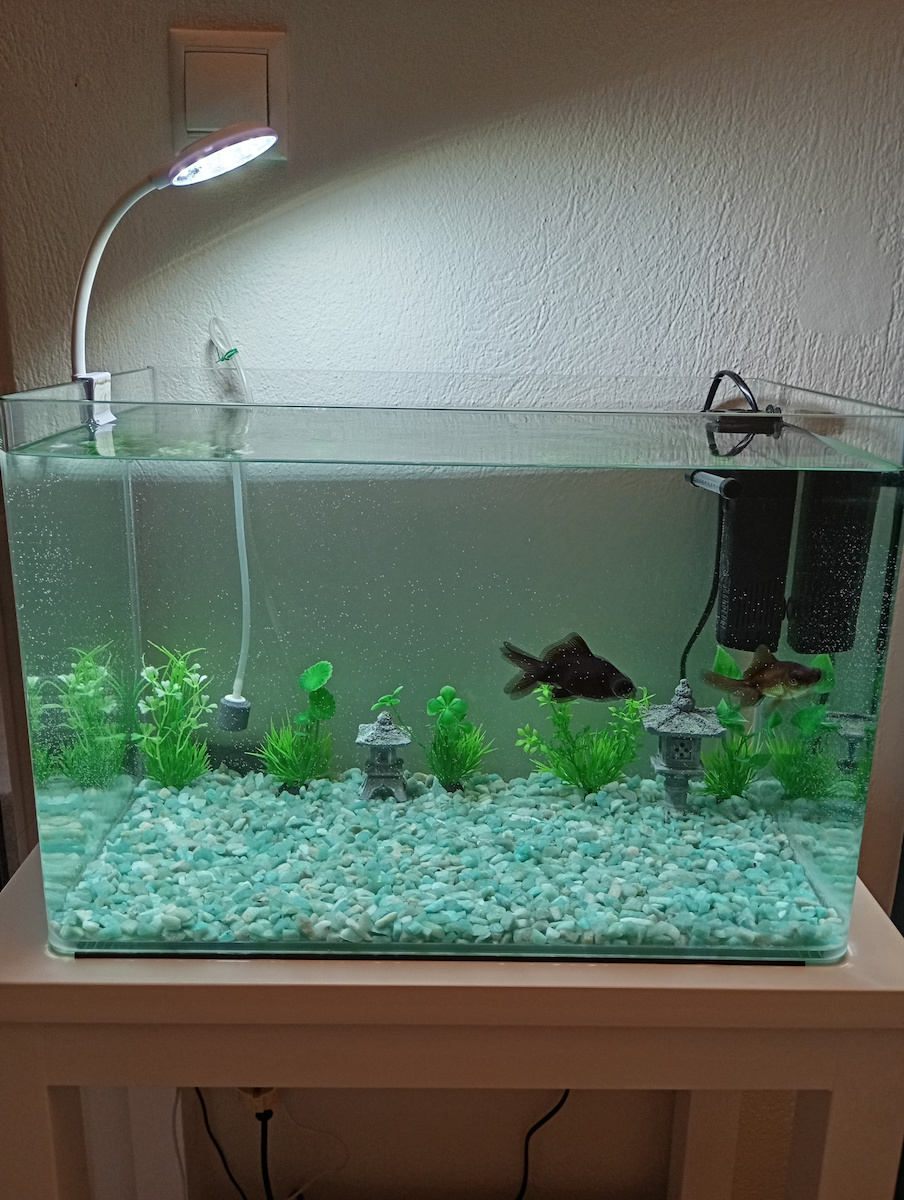 Fish Aquarium Capacity 38lt with 45x30x30cm White