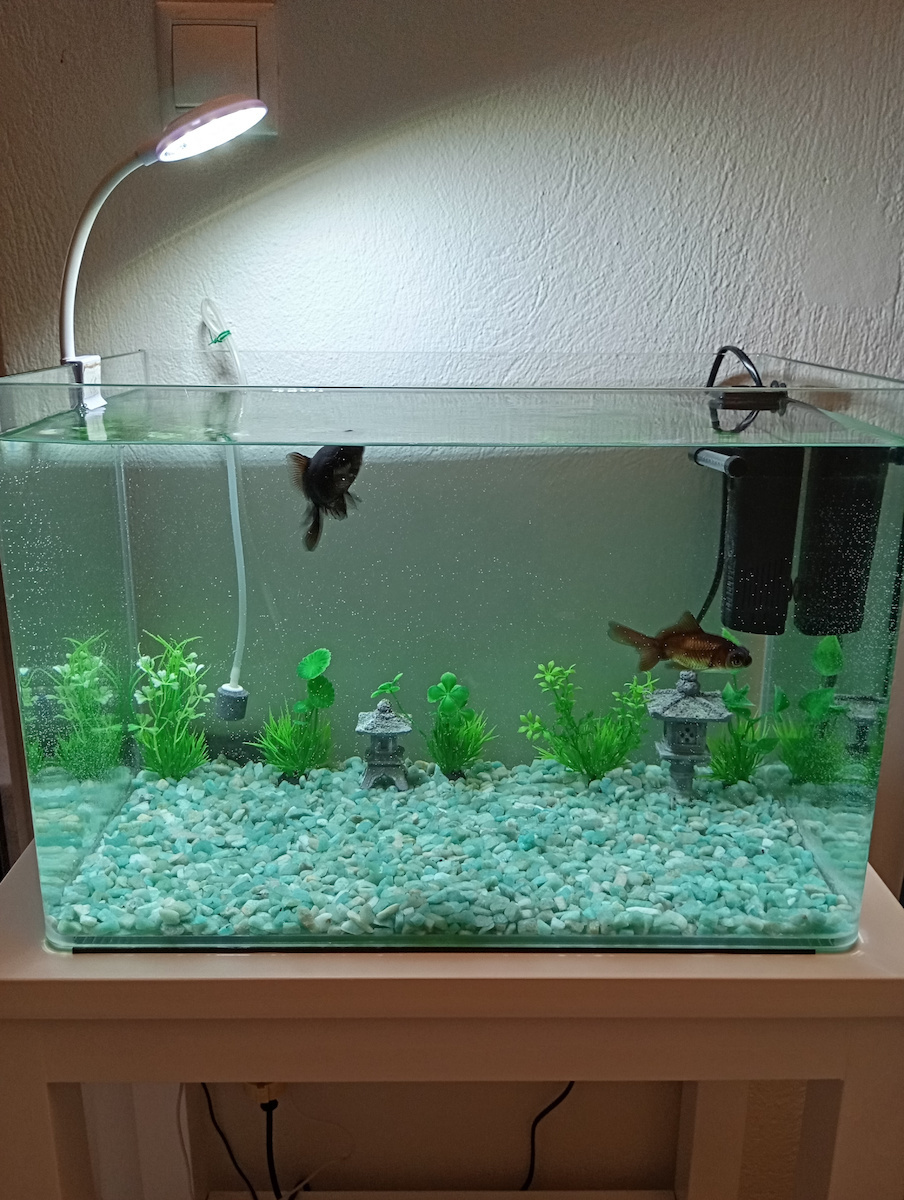 Fish Aquarium Capacity 38lt with 45x30x30cm White