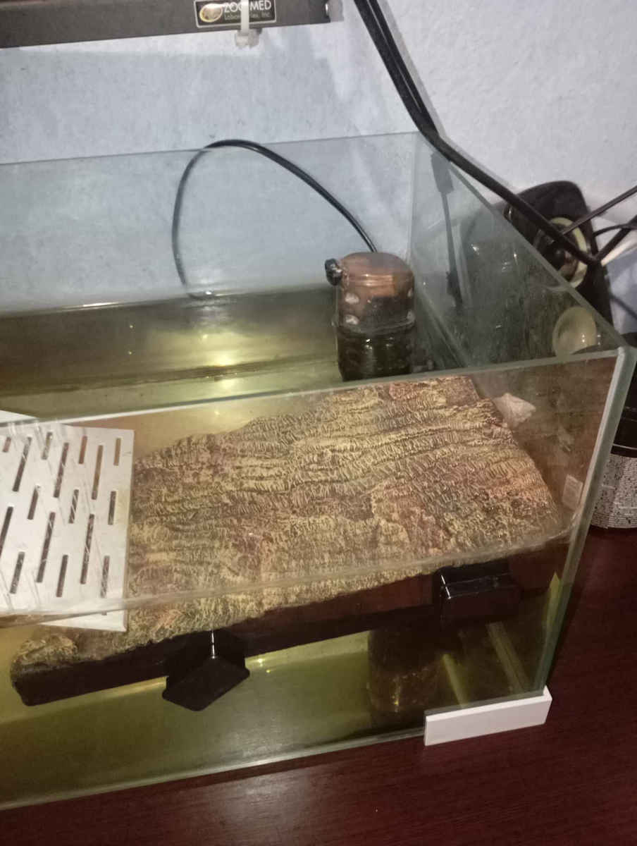 Happet Decor pentru terariu de reptile