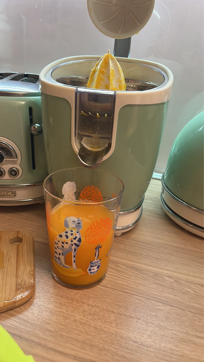 Ariete Vintage Електрически сокоизстисквач 85W с капацитет 600мл Зелен