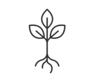 Thin branches / light work