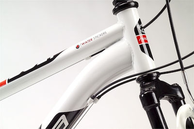 Regina Bolt 26" Suspension Fork