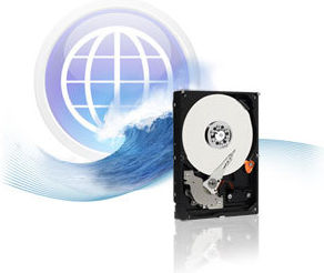Western Digital Blue 500GB HDD Hard Disk 3.5" SATA III 7200rpm cu 16MB Cache pentru Desktop WD5000AAKX