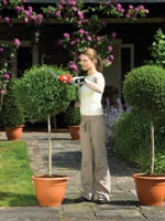 Black & Decker GSL300 Μπορντουροψάλιδο Μπαταρίας 3.6V με Μήκος Λάμας 15cm