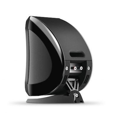 Focal Sib