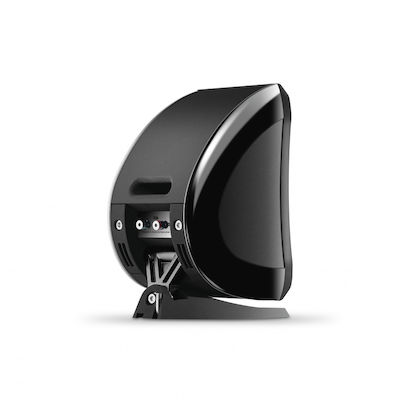 Focal Sib