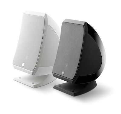 Focal Sib