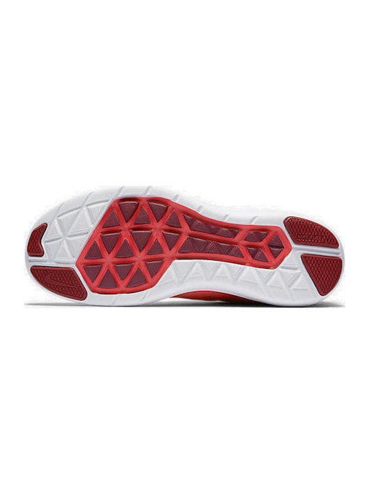Nike Flex 2016 RN Γυναικεία Running Πορτοκαλί