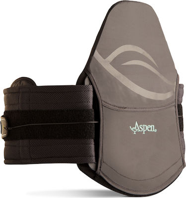 Aspen ASPEN LSO Horizon 637 Adjustable Trunk Splint Gray