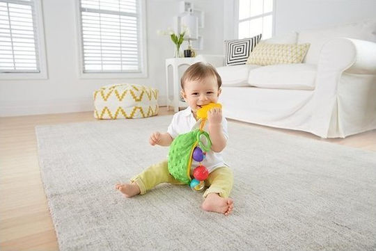 Fisher Price Zornăitoare Mazăre pentru 0++ Luni