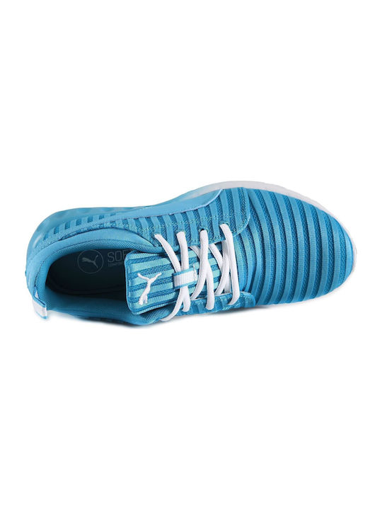 Carson Linear Sport Shoes Running Turquoise