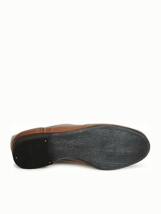 Hamble Oak Women's Leather Oxford Shoes Tabac Brown