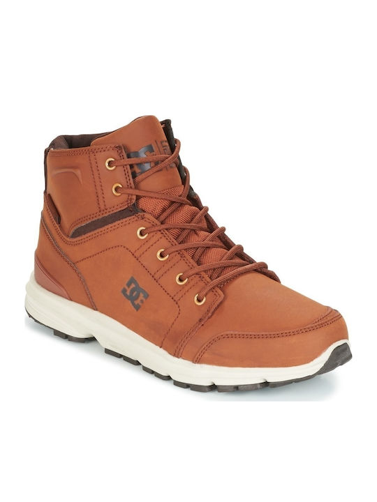 DC Torstein M Boot Herren Stiefel Tabac Braun