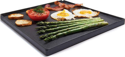 Broil King Baking Plate Double Sided with Cast Iron Flat Surface 38x33cm