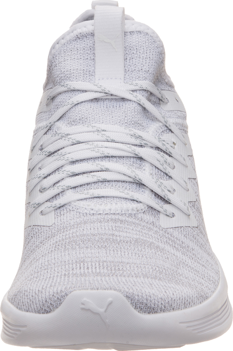puma 190508