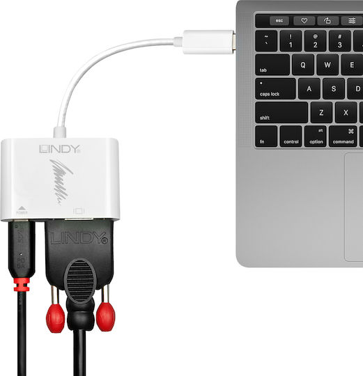 Lindy Convertor USB-C Masculin În USB-C / VGA Feminin 1 Bucată 43194
