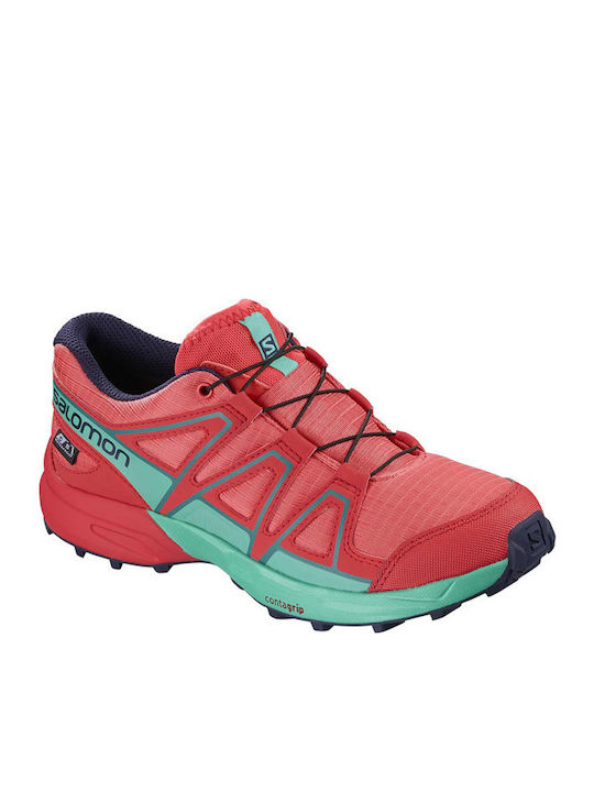 Salomon