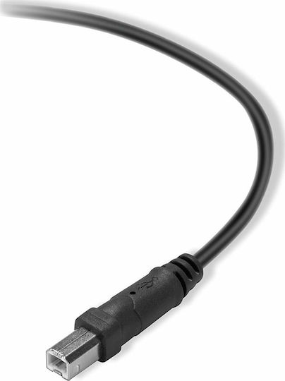 Belkin USB 2.0 Cable USB-A male - USB-B male 3m (F3U154BT3M)