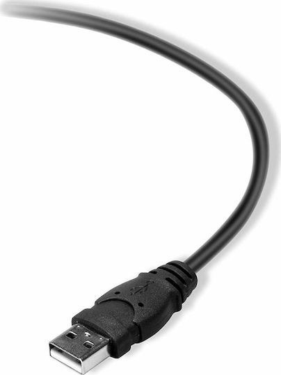 Belkin USB 2.0 Кабел USB-A мъжки - USB-B мъжки Черен 3м F3U154BT3M