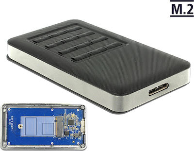 DeLock Case for Hard Drive M.2 SATA III with Connection USB 2.0 42594