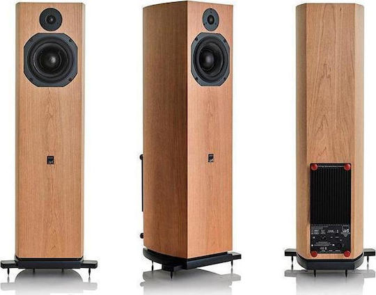 ATC Audio SCM19AT Difuzoare active 2 Nr. de șoferi 150W (Pereche) Maro