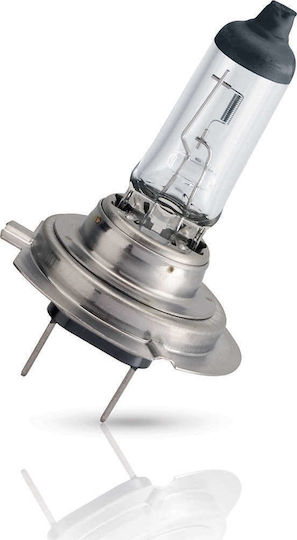 Philips Λάμπα Μοτοσυκλέτας Vision Moto H7 Αλογόνου 12V 55W