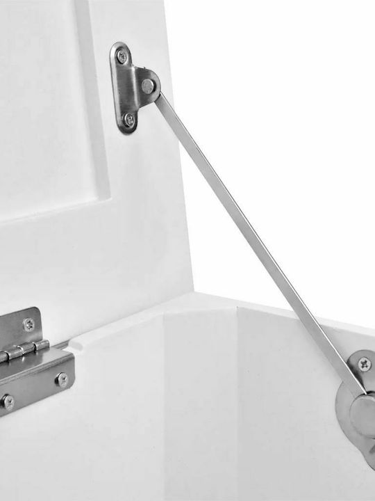 vidaXL Wooden Decorative Trunks Set White 2pcs 54x30x30cm