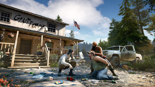 Far Cry 5 Joc PS4