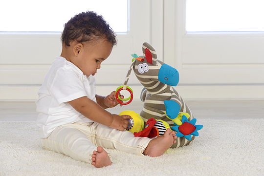 Dolce Животинче Activity Zebra със звуци за 0++ месеца