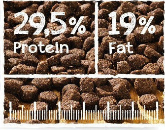 Belcando Puppy GF Poultry 12.5kg Dry Food Grain-Free for Puppies with Poultry