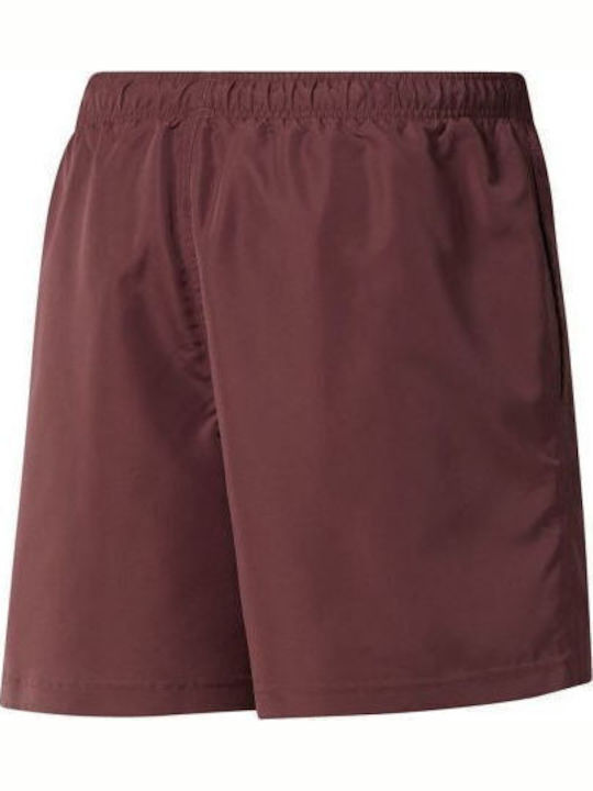 Herren Badebekleidung Shorts Braun