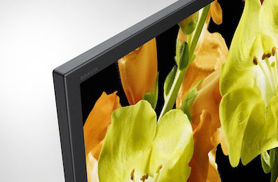 Sony Smart Fernseher 55" 4K UHD Direkte LED KD-55XG8196 HDR (2019)