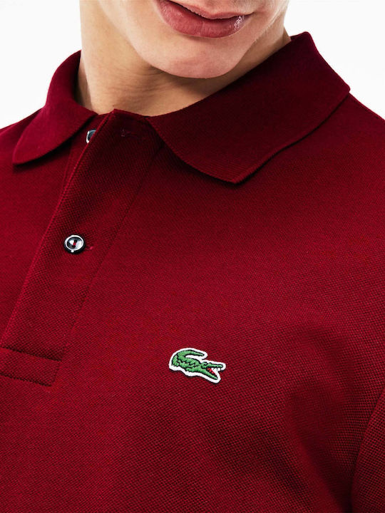 Polo Short Sleeve Blouse Burgundy