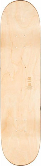 Globe Goodstock Deck 8.25 8.25" Skateboard Kurzboard Grünes