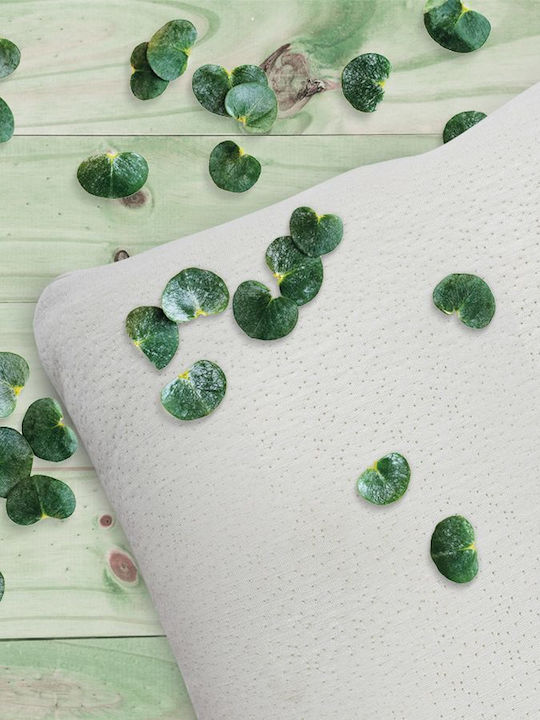 Das Home 1041 Eucalyptus Bamboo Μαξιλάρι Ύπνου Memory Foam Ανατομικό 45x65x13cm