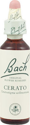 Bach Cerato Ανθοΐαμα σε Σταγόνες 20ml