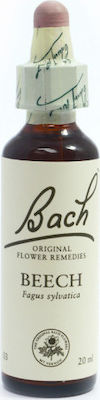 Bach Beech Ανθοΐαμα σε Σταγόνες 20ml